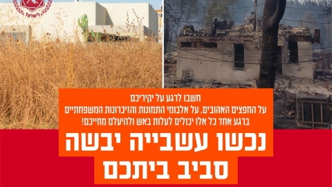 נכוש עישבייה.jpg