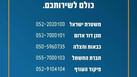 WhatsApp Image 2023-11-28 at 07.41.47.jpeg