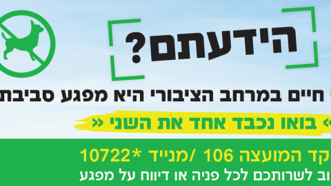 פיקוח עירוני 5.png